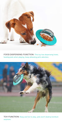 Dog Interactive Food Leaking Dispensing