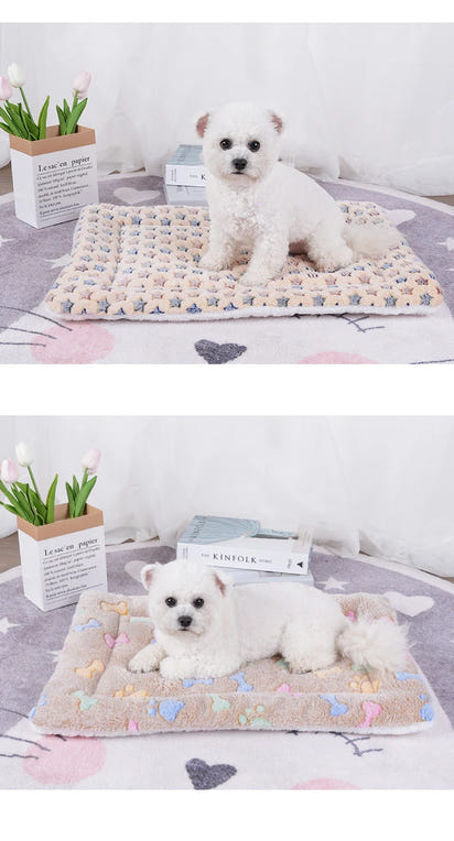 Cats Bed Pet Products Beds & Furnitures