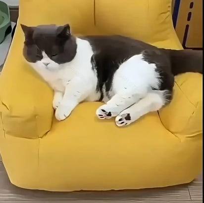 Cat Sofa Bed with Cartoon Design,