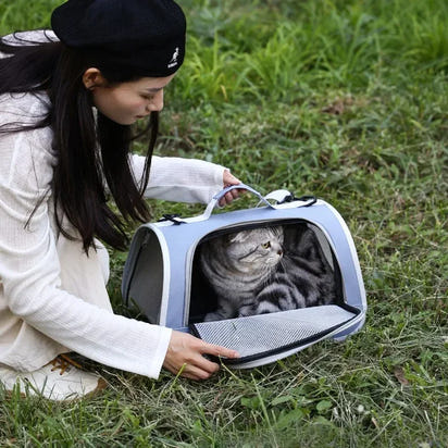 Pet Outing Portable Cat Dogs Handbag