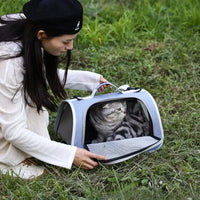 Pet Outing Portable Cat Dogs Handbag